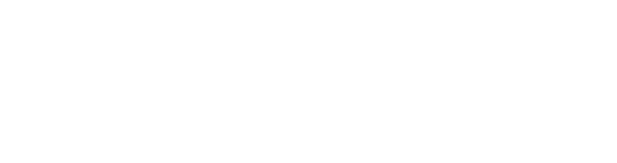 Michael & Susan Dell Foundation White Logo